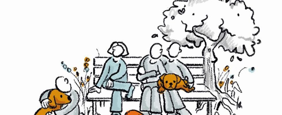 Project Canis - Tiergestütztes Coaching für Kinder und Jugendliche
