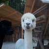 Suche langfristig