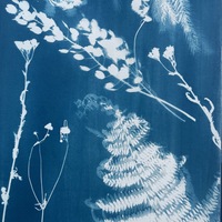 Gallery Foto