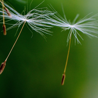 Hypnose - Coaching - Achtsamkeitstraining