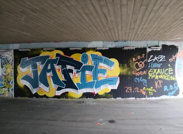 TAFIE - Tiroler Arbeitskreis für Inklusive Entwicklung