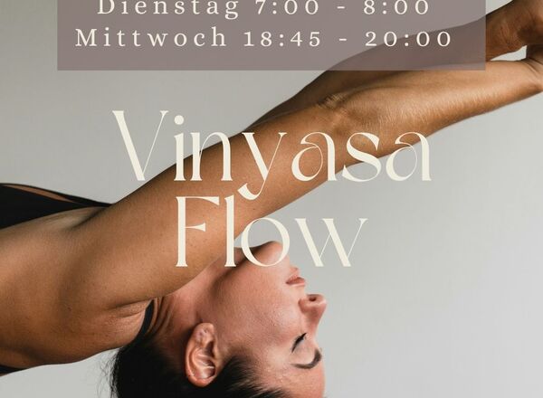 Morning Flow & Vinyasa Flow