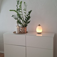 Gallery Foto