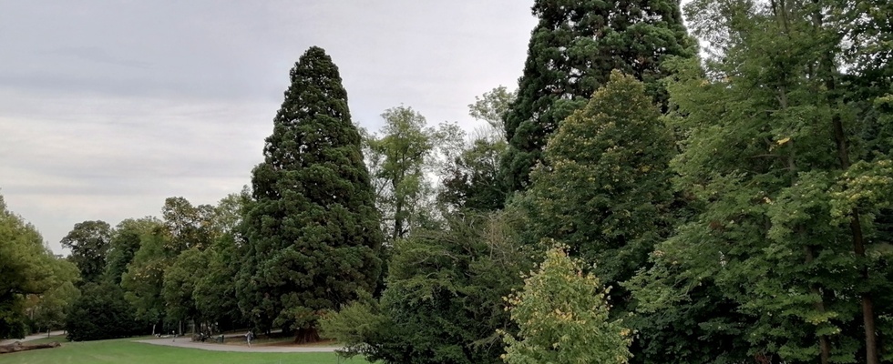 HerzKreis und Geomantie im Pötzleinsdorfer Park