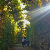 Gallery Foto