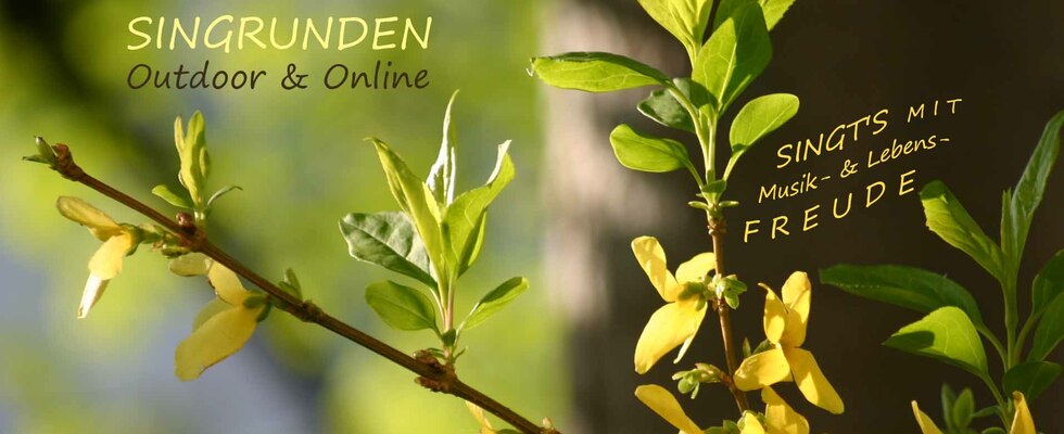 SINGT'S mit Freude - Fernsingrunden über Zoom im April