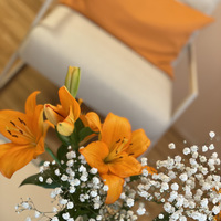 Gallery Foto