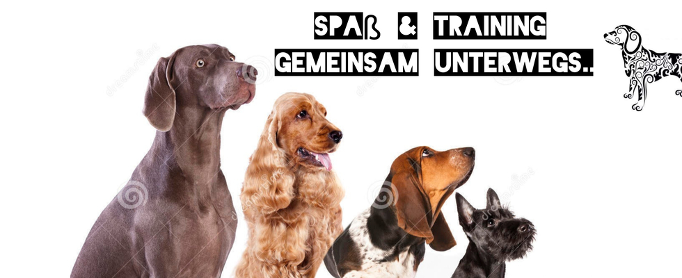 CITYDOGS- Gemeinsam unterwegs 