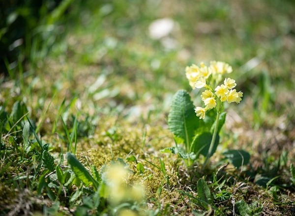 Jahreskreisfest OSTARA FRÜHLINGSTAGUNDNACHTGLEICHE