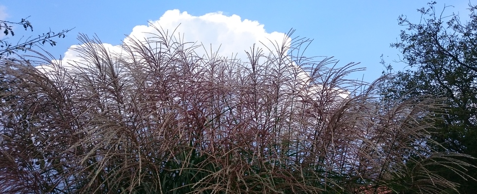 HIMMEL - ERDE - MENSCH