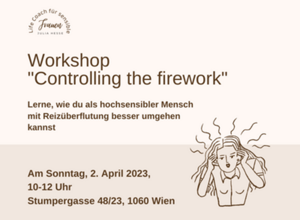 Controlling the firework - Umgang mit Reizüberflutung