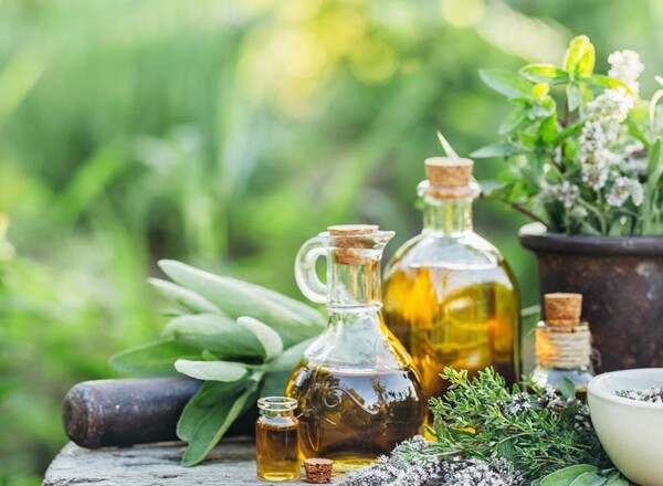 Ganzheitlicher Pflanzenkurs "Feurige Sommerfreuden"