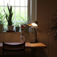 Gallery Foto