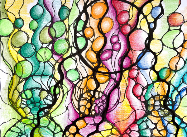 NeuroGraphik Workshop
