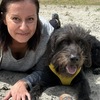 Raumsuche für ganzheitliche Körperarbeit – Mensch & Hund