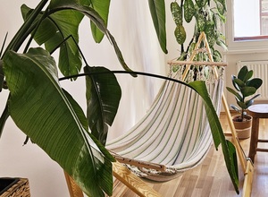 Gallery Foto