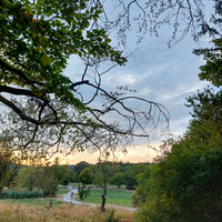 Gallery Foto