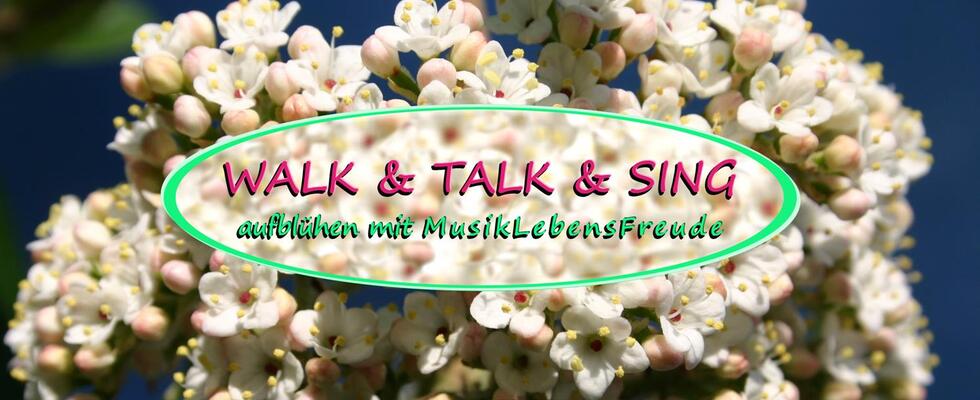 9. WALK & TALK & SING am Donaukanal