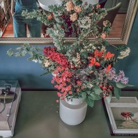 Gallery Foto