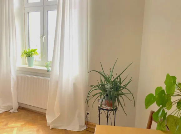 Johanna Matula / Körperzentriertes Coaching I Grinberg – Foto 4