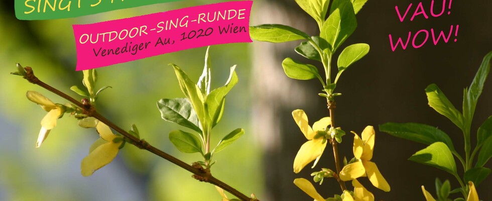 Outdoor-Singrunde VAU! WOW!