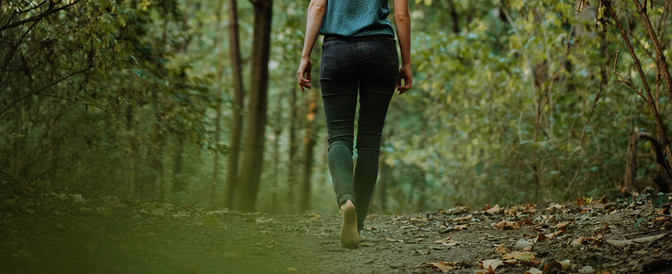 Gehmeditation und Stille-Wanderung