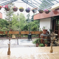 Gallery Foto