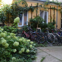 Gallery Foto