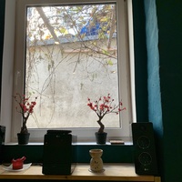 Gallery Foto
