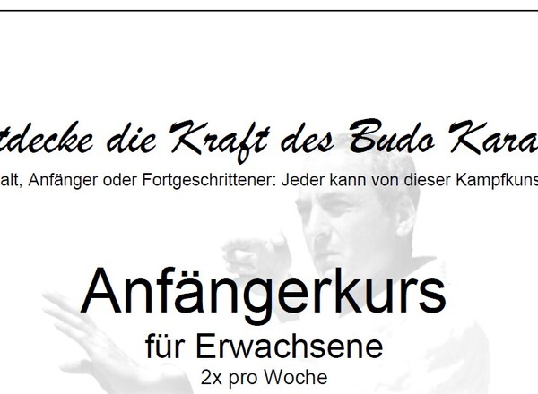 Anfängerkurs: Entdecke die Kraft des Budo Karate!