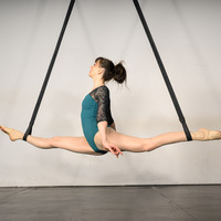 AERIAL ARTIST / TRAINER