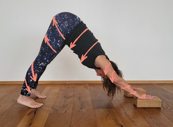 Asana EXAKT