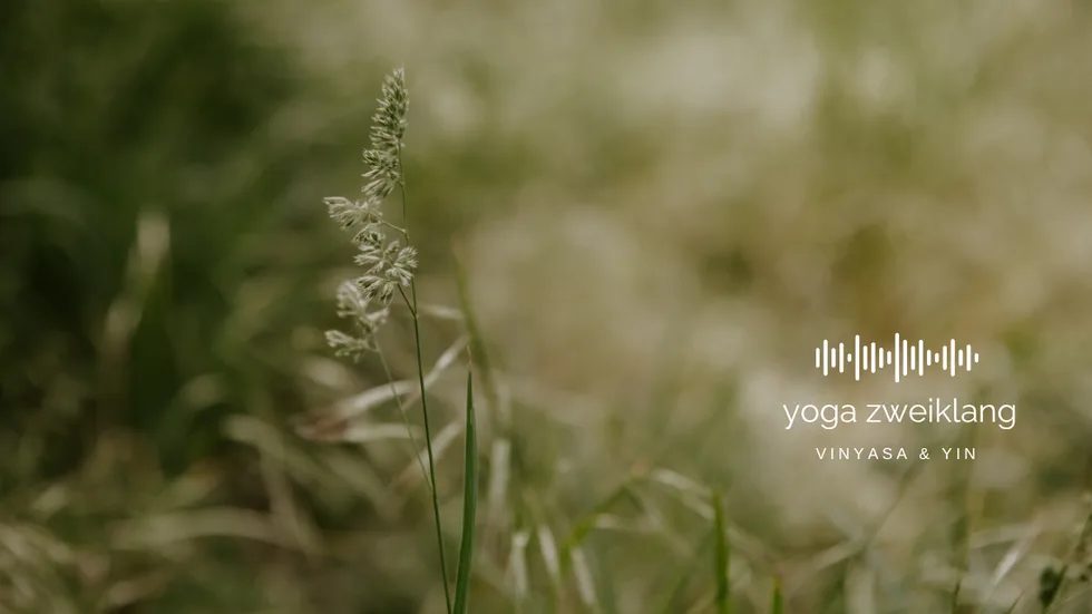 yoga zweiklang – Foto 1