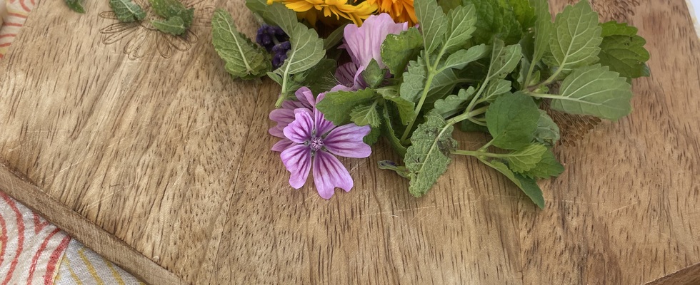 Workshop: Kleine Hausapotheke – Kräuter erleben & selbst herstellen