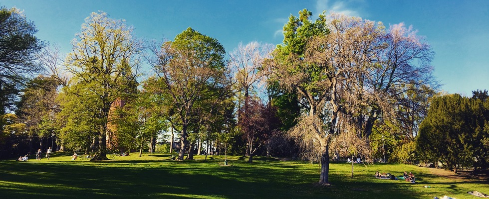 Outdoortraining im Türkenschanzpark 