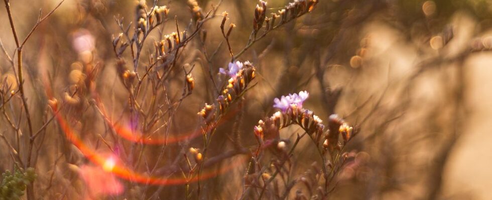 ⌽ Yoga & Polarity 🜲 Photography ⌇ Writing