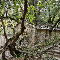 Gallery Foto