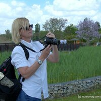 Gallery Foto