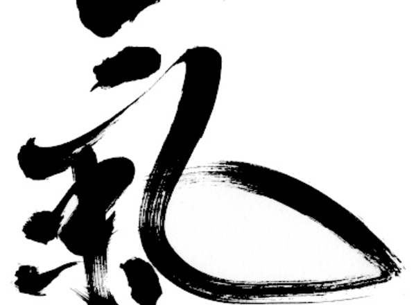 Ki Aikido Wien findet in Floridsdorf eine neue Heimat