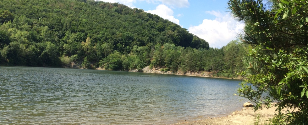 Steinbruchsee DEMO am 20.6. in Perchtoldsdorf