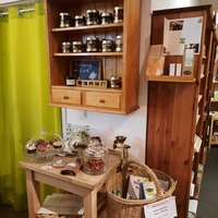 Gallery Foto