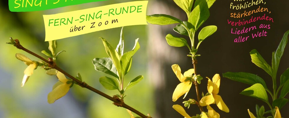 FERN-SING-RUNDE mit MusikLebensFreude