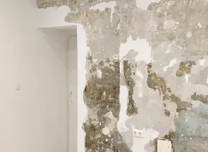 Gallery Foto