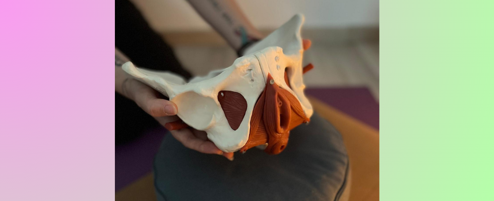 Workshop - Hello Beckenboden: Fühlen. Verstehen. Verbinden.