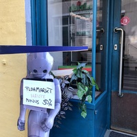Gallery Foto