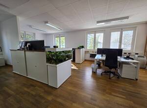 Gallery Foto