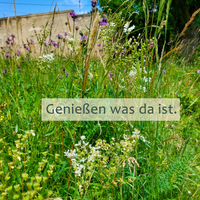 Gallery Foto