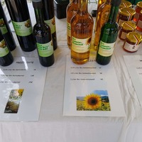 Gallery Foto