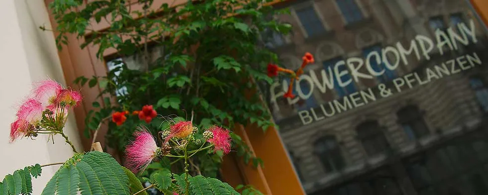 Flowercompany – Foto 1