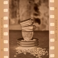 Gallery Foto